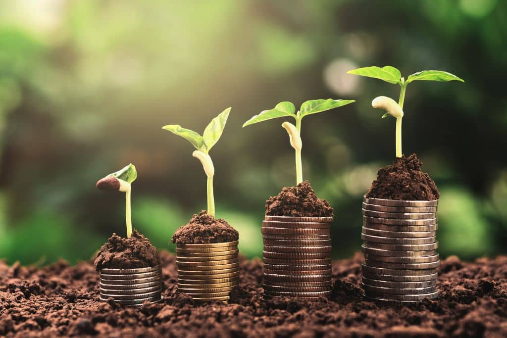 Green Economy Solusi Masa Depan atau Ilusi Belaka?